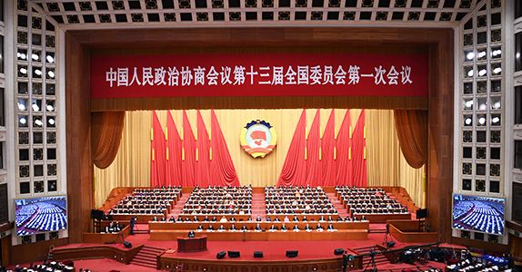 全國政協(xié)委員詹純新：企業(yè)走出去要“做主、做深、做透”